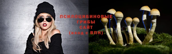 дживик Киренск