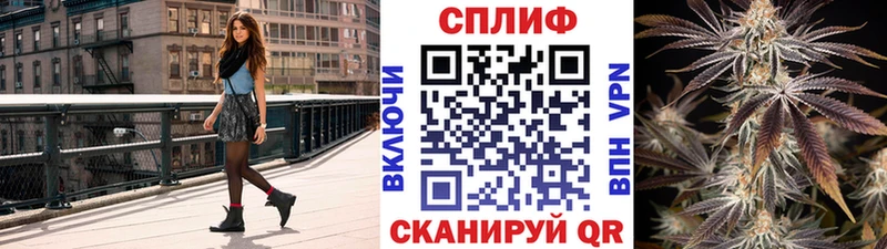 Канабис OG Kush  Купить где  Вязьма 